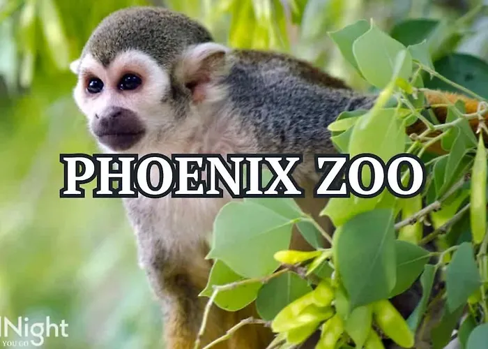 Vantage - Rooftop Patio - Heart Of Old Town *
